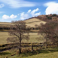 Buy canvas prints of Shire Hill in Winter by Denise Heywood