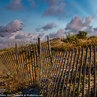 Buy canvas prints of Fence Beside Sunset Beach by Darryl Brooks