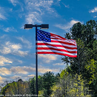 Buy canvas prints of American Flag on LIght Pole by Darryl Brooks
