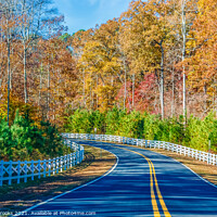 Buy canvas prints of Road Curving Through Autumn Trees and White Fence by Darryl Brooks