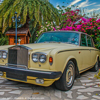 Buy canvas prints of Rolls Royce in Tropical Garden by Darryl Brooks