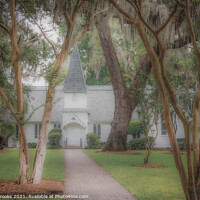 Buy canvas prints of Old White Church Under Spanish Moss by Darryl Brooks