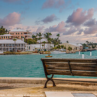 Buy canvas prints of Empty Bench Looking at Bermuda Bay by Darryl Brooks