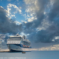 Buy canvas prints of Blue and White Cruise Ship Docked Under Dramatic Sky by Darryl Brooks
