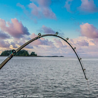 Buy canvas prints of Bent Fishing Pole at Dusk by Darryl Brooks
