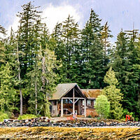Buy canvas prints of Cabin on Shore of Fir Covered Island by Darryl Brooks