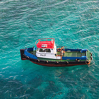 Buy canvas prints of Red White and Blue Pilot Boat in Aqua Water by Darryl Brooks