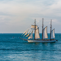 Buy canvas prints of Three Masted Sailboat off Key West by Darryl Brooks