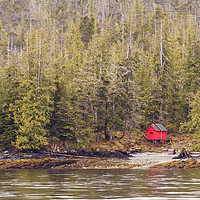 Buy canvas prints of Red Cabin on Edge of Alaskan Waterway in Evergreen by Darryl Brooks