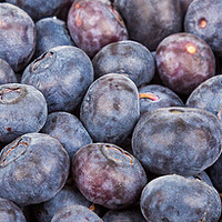 Buy canvas prints of Closeup Blueberries Horizontal by Darryl Brooks