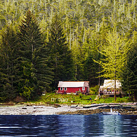 Buy canvas prints of Old Houses on Evergreen Covered Coast by Darryl Brooks