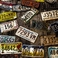 Buy canvas prints of License Plates on Old Wall by Darryl Brooks