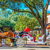 Buy canvas prints of Carriage Tours Savannah by Darryl Brooks