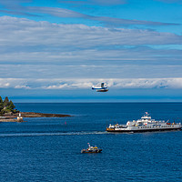 Buy canvas prints of Harbor Patrol Sea Plane and Ferry by Darryl Brooks