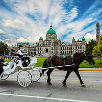Buy canvas prints of Horse and Buggy in Victoria by Darryl Brooks