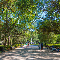 Buy canvas prints of Walkway into Forsyth Park by Darryl Brooks