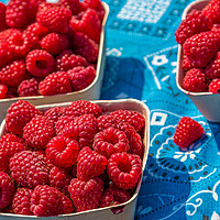 Buy canvas prints of Fresh Red Raspberries by Darryl Brooks