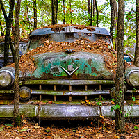 Buy canvas prints of Old Caddy into Trees by Darryl Brooks
