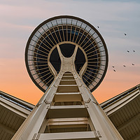 Buy canvas prints of Space Needle at Dawn by Darryl Brooks