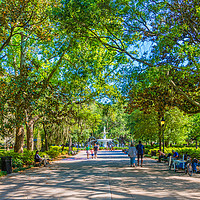Buy canvas prints of Families Walking into Forsyth Park by Darryl Brooks