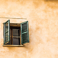 Buy canvas prints of One Window with Green Shutters by Darryl Brooks
