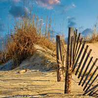 Buy canvas prints of Fence in Dunes by Darryl Brooks