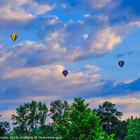 Buy canvas prints of Three hot air balloons over trees by Darryl Brooks