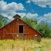 Buy canvas prints of Old Red Barn in the Weeds by Darryl Brooks