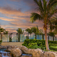 Buy canvas prints of Palm Tree and Fountain at Dusk by Darryl Brooks