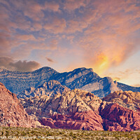 Buy canvas prints of Red Rock and Blue Mountains Rising from Desert at Sunset by Darryl Brooks