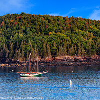Buy canvas prints of Schooner Past Maine Island by Darryl Brooks