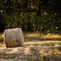 Buy canvas prints of A roll of hay next to a wooded area by Darryl Brooks