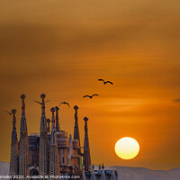 Buy canvas prints of Sunset Behind Sagrada by Darryl Brooks