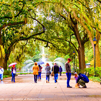 Buy canvas prints of Tourists in Forsyth Park by Darryl Brooks