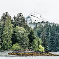 Buy canvas prints of Trees on Shore of Alaska by Darryl Brooks