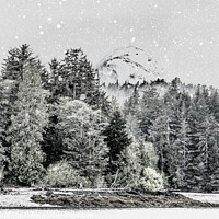 Buy canvas prints of Trees on Shore of Alaska Snow by Darryl Brooks