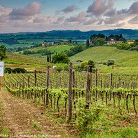 Buy canvas prints of Tuscany Farm and Vineyard by Darryl Brooks