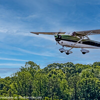 Buy canvas prints of Green and White Plane in Flight by Darryl Brooks