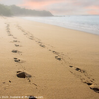 Buy canvas prints of Footsteps on Early Morning Fog by Darryl Brooks