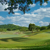 Buy canvas prints of Jungle Golf Course in Costa Rica by Darryl Brooks