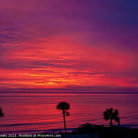 Buy canvas prints of Palms in Silhouette Against Purple Sunrise by Darryl Brooks