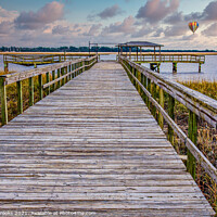 Buy canvas prints of Old Pier Into Wetland Marsh by Darryl Brooks