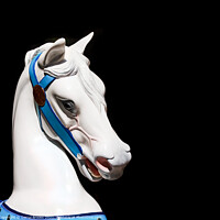 Buy canvas prints of White Carousel Horses Head on Black Background by Darryl Brooks