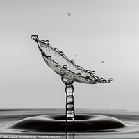 Buy canvas prints of Droplet Collision by Derek Hickey