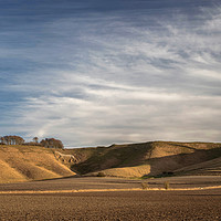 Buy canvas prints of Cherhill White Horse Wiltshire by Derek Hickey