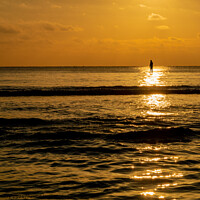 Buy canvas prints of Lone Paddle Boarder by Derek Hickey