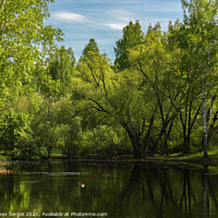 Buy canvas prints of Small lake surrounded by trees in the park by Dobrydnev Sergei