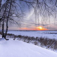 Buy canvas prints of Trees and setting sun on the edge of a winter forest by Dobrydnev Sergei