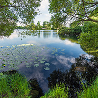 Buy canvas prints of Summer lake by Dobrydnev Sergei