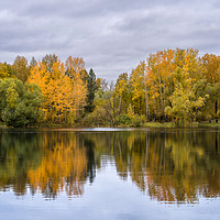 Buy canvas prints of The lake, reflecting the cloudy sky and autumnal f by Dobrydnev Sergei